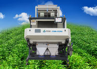 LED CCD Coffee / Cocoa Bean Color Sorter Equipment Accuracy ≥99.99%